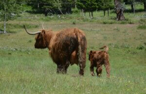 4042AE22-D3D2-4AE0-ACD4-E3292B10AEA2_1_105_c