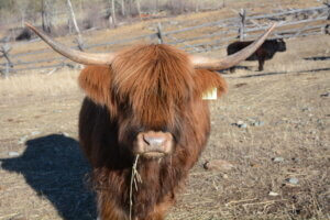 97D22ADD-A530-497C-9B31-A0B6997BEF16_1_105_c 1