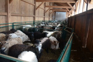 A30B87A7-4538-4D12-BC87-4F93A025756D_1_105_c