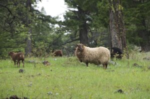 C8AC808A-D097-45CB-A9F7-BF69DC38B5C4_1_105_c