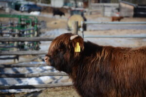 E015B3E5-5BB0-4734-B30C-4D1199501207_1_105_c