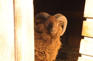 ED3C02BF-08EC-4C75-B7F1-EA2438BD0936_1_105_c